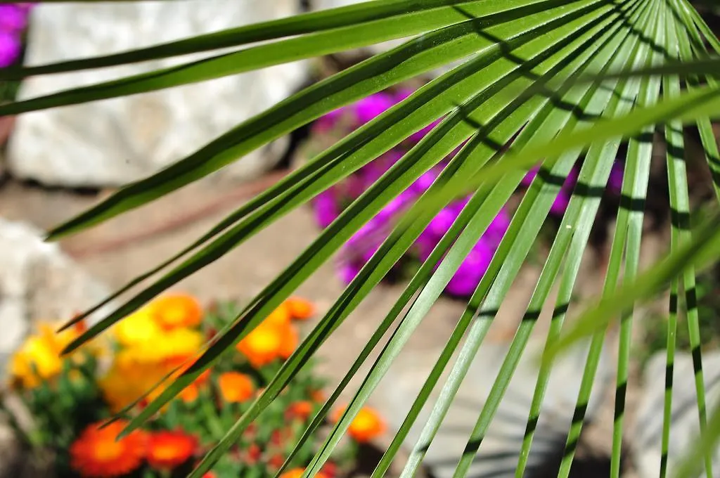 Penzion Hotel Celo Garden Peguera